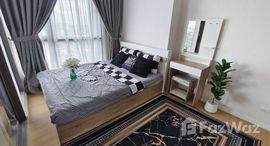 ยูนิตมือสองและให้เช่า