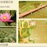  Land for sale in Vientiane, Xaythany, Vientiane