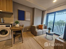1 Habitación Apartamento en alquiler en The Base Cherngtalay, Choeng Thale, Thalang, Phuket, Tailandia