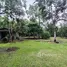 6 Bedroom House for sale in Guacimo Limon, Guacimo, Limon