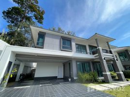 บ้านเดี่ยว 4 ห้องนอน ให้เช่า ในโครงการ ศุภาลัย ปาล์มสปริงส์ บ้านพอน ภูเก็ต, ศรีสุนทร, ถลาง