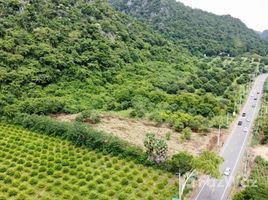  Land for sale in Nakhon Ratchasima, Phaya Yen, Pak Chong, Nakhon Ratchasima