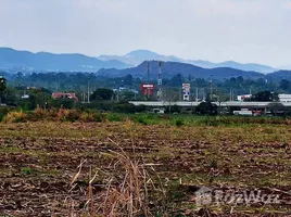 ขายที่ดิน ใน หมูสี, นครราชสีมา, หมูสี, ปากช่อง