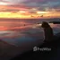 3 спален Вилла for sale in Koh Phangan, Сураттани, Koh Phangan, Koh Phangan, Сураттани