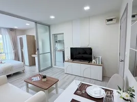 ขายอพาร์ทเม้นท์ 1 ห้องนอน ในโครงการ D Condo Kathu-Patong, กะทู้, กะทู้, ภูเก็ต