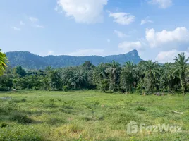 ขายที่ดิน ใน หนองทะเล, กระบี่, หนองทะเล, เมืองกระบี่, กระบี่