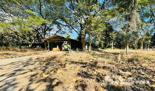 N/A Land for sale in Khun Khong, Chiang Mai 