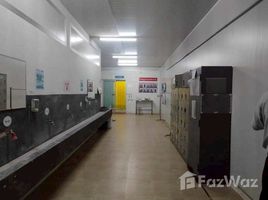 ขายคลังสินค้า 1 ห้องนอน ใน ถนนขาด, นครปฐม, ถนนขาด, เมืองนครปฐม, นครปฐม