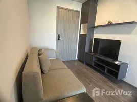 1 Bedroom Apartment for rent at Monte Rama 9, Hua Mak, Bang Kapi, Bangkok, Thailand