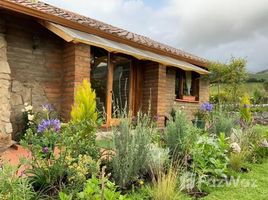 2 Habitación Casa en alquiler en Imbabura, Otavalo, Otavalo, Imbabura