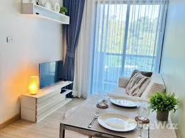1 Bedroom Condo for rent at Happy Place Condo, Sakhu, Thalang, Phuket, Thailand