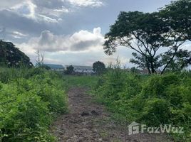  Grundstück zu verkaufen in Sam Phran, Nakhon Pathom, Tha Talat, Sam Phran, Nakhon Pathom