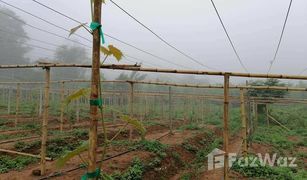 N/A Grundstück zu verkaufen in Soi, Phrae 