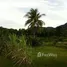  Land for sale in Pa Khlok, Phuket, Pa Khlok