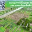  Land for sale in Bang Sao Thong, Samut Prakan, Bang Sao Thong, Bang Sao Thong, Samut Prakan