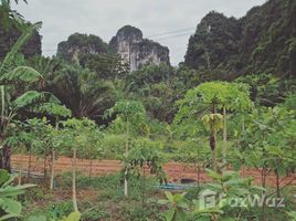 在甲米出售的 土地, Ao Nang, Mueang Krabi, 甲米