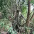  Land for sale in Rat Niyom, Nonthaburi, Rat Niyom, Sai Noi, Nonthaburi