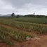  Land for sale in Nong Phlap, Hua Hin, Nong Phlap, Hua Hin, Prachuap Khiri Khan