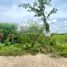  Земельный участок for sale in Asa, Nakhon Nayok, Asa, Ban Na, Nakhon Nayok