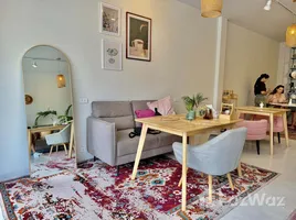 ขายพื้นที่ค้าปลีก ใน ราไวย์, ภูเก็ต, ราไวย์