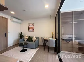 1 Bedroom Condo for rent at THE BASE Bukit, Wichit, Phuket Town, Phuket, Thailand