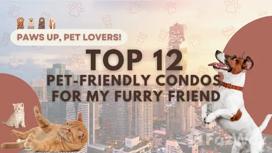 pet friendly condo