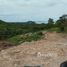 ขายที่ดิน ใน ตลิ่งงาม, สุราษฎร์ธานี, ตลิ่งงาม