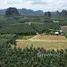  Земельный участок на продажу в Prime Land for Sale in Nong Thale Krabi, Nong Thale