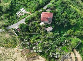  Grundstück zu verkaufen in Pujut, West Nusa Tenggara, Pujut, Lombok Tengah, West Nusa Tenggara, Indonesien
