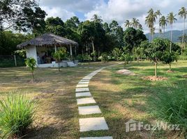サムイ島 で売却中 土地区画, Na Mueang, サムイ島