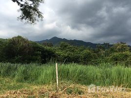  Land for sale in Nakhon Ratchasima, Phaya Yen, Pak Chong, Nakhon Ratchasima