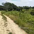  Terreno (Parcela) en venta en Laratama, East Nusa Tenggara, Laratama, Sumba Barat, East Nusa Tenggara