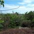  Land for sale in Compostela, Nayarit, Compostela