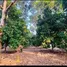  Land for sale in Thung Khwai Kin, Rayong, Thung Khwai Kin, Klaeng