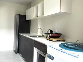 คอนโด 1 ห้องนอน ให้เช่า ในโครงการ ดีเวียง สันติธรรม, ช้างเผือก