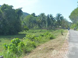 ขายที่ดิน ใน เกาะยาวใหญ่, พังงา, เกาะยาวใหญ่, เกาะยาว