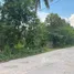  Land for sale in Doi Lo, Chiang Mai, Doi Lo, Doi Lo