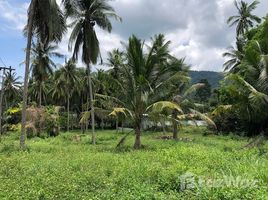 N/A Terrain a vendre à Maret, Koh Samui Mountain View Land for Sale near Lamai Centre