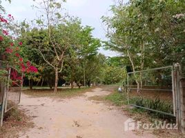  Land for sale in Na Di, Prachin Buri, Na Di, Na Di