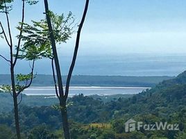  Земельный участок for sale in Osa, Puntarenas, Osa