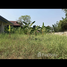  Grundstück zu verkaufen in Mueang Nonthaburi, Nonthaburi, Sai Ma, Mueang Nonthaburi