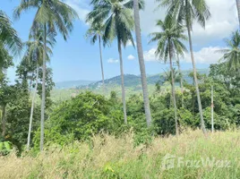  Grundstück zu verkaufen in Koh Samui, Surat Thani, Lipa Noi