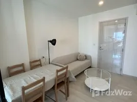 1 Bedroom Condo for rent at Life Asoke, Bang Kapi, Huai Khwang, Bangkok, Thailand