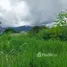  Land for sale in Mae Rim Chiang Mai, Don Kaeo, Mae Rim, Chiang Mai