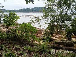苏梅岛 Ko Pha-Ngan 2 Plots, 1 Beachfront on Chaloklum Bay, Ko Phangan N/A 土地 售 