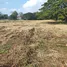  Land for sale in Chai Sathan, Chiang Mai, Chai Sathan, Saraphi, Chiang Mai