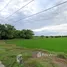  Land for sale in Sai Noi, Nonthaburi, Sai Yai, Sai Noi