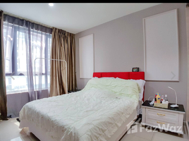 1 Bedroom Condo for rent at Tambuli Seaside Living, Lapu-Lapu City, Cebu, Central Visayas