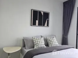 1 Bedroom Condo for rent at Life Sukhumvit 48, Phra Khanong, Khlong Toei, Bangkok, Thailand