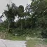  Land for sale in Kamala, Phuket, Kamala, Kathu, Phuket, Thailand